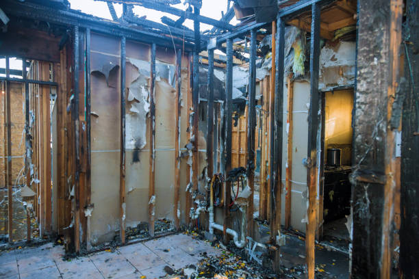 Professional Smoke Damage Removal technician working in Riverdale, NJ